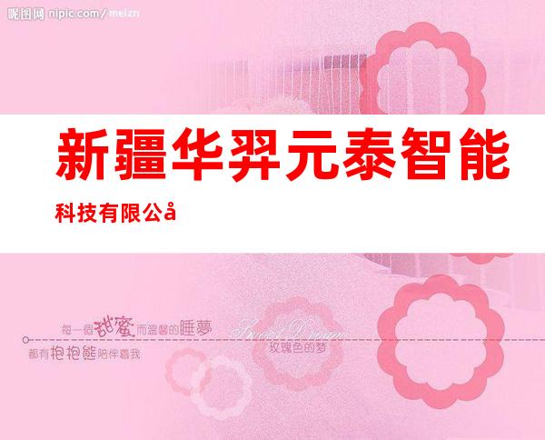 新疆华羿元泰智能科技有限公司